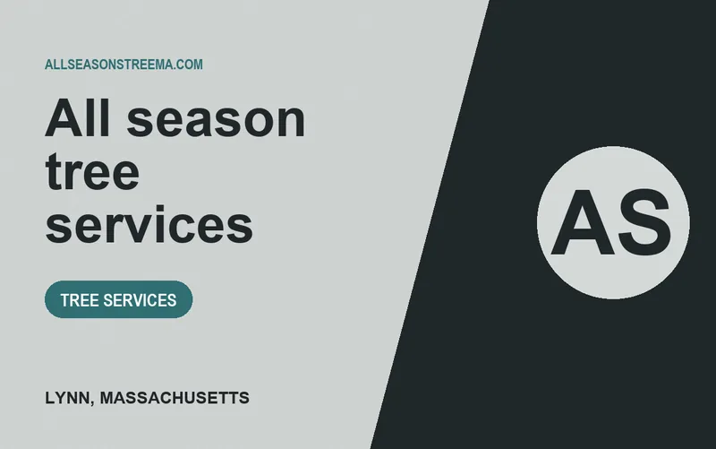 All season tree services in Lynn, Massachusetts