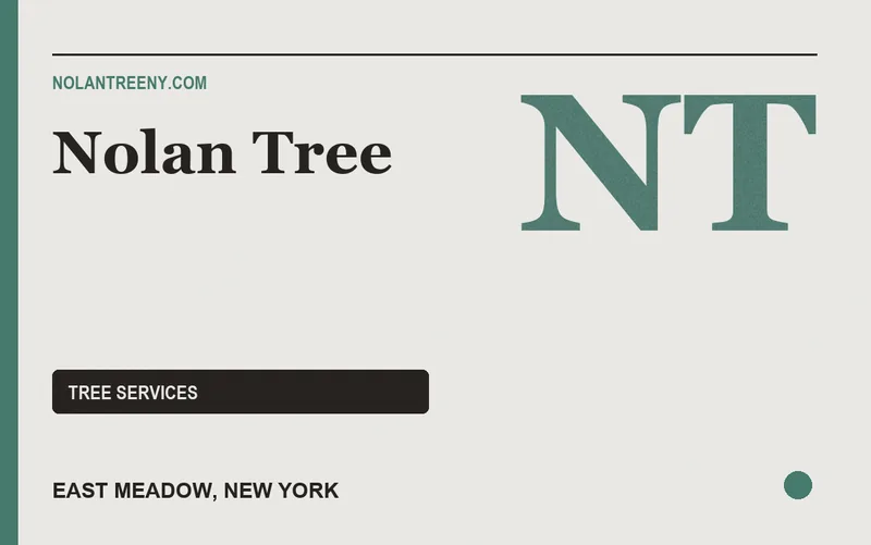 Nolan Tree in East Meadow, New York