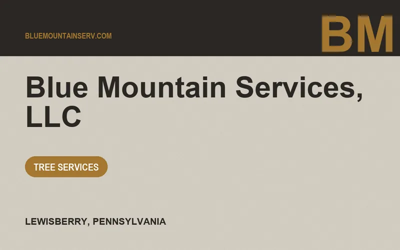 Blue Mountain Services, LLC in Lewisberry, Pennsylvania