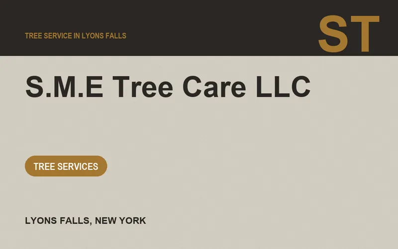 S.M.E Tree Care LLC in Lyons Falls, New York