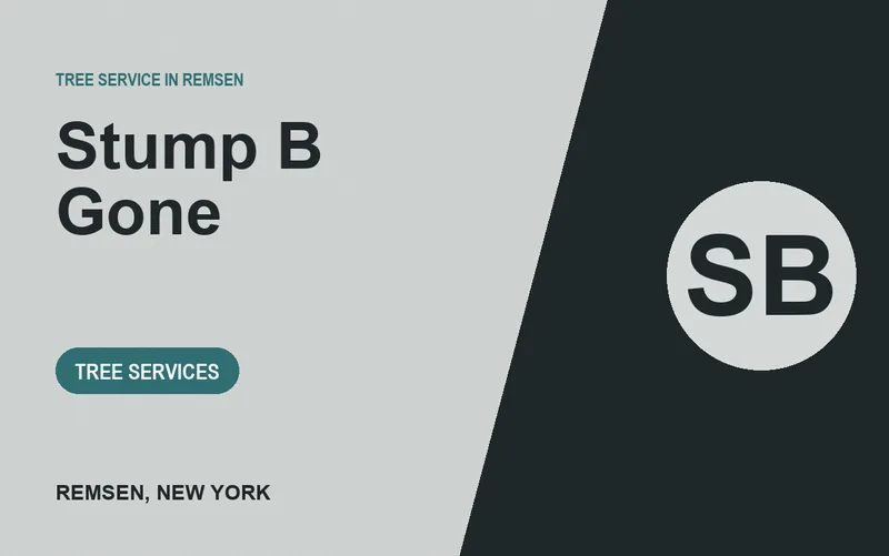 Stump B Gone in Remsen, New York
