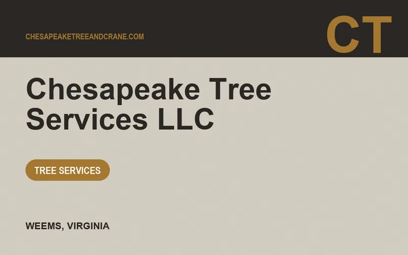 Chesapeake Tree Services LLC in Weems, Virginia