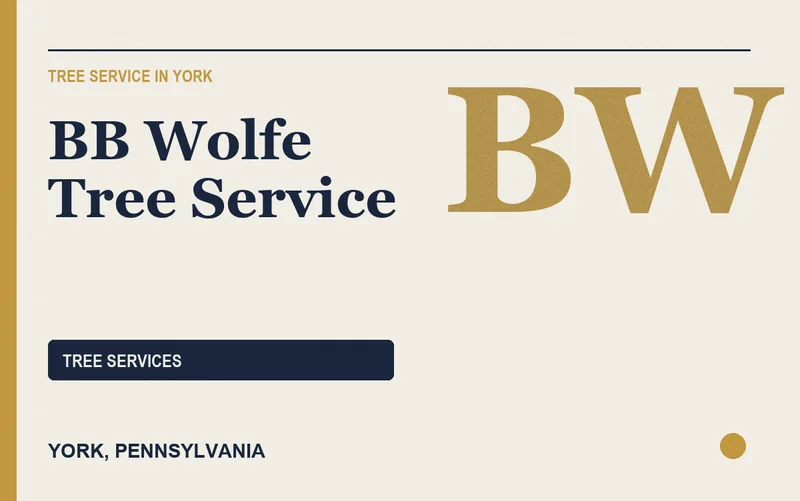 BB Wolfe Tree Service in York, Pennsylvania