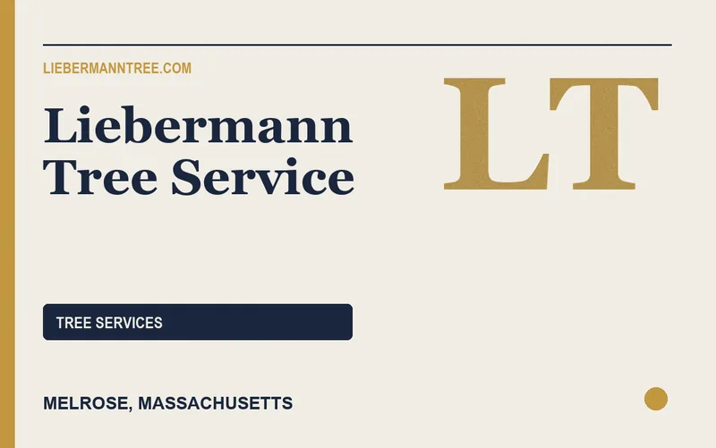 Liebermann Tree Service in Melrose, Massachusetts