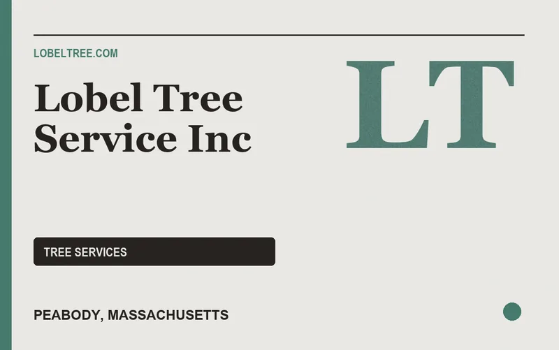 Lobel Tree Service Inc in Peabody, Massachusetts