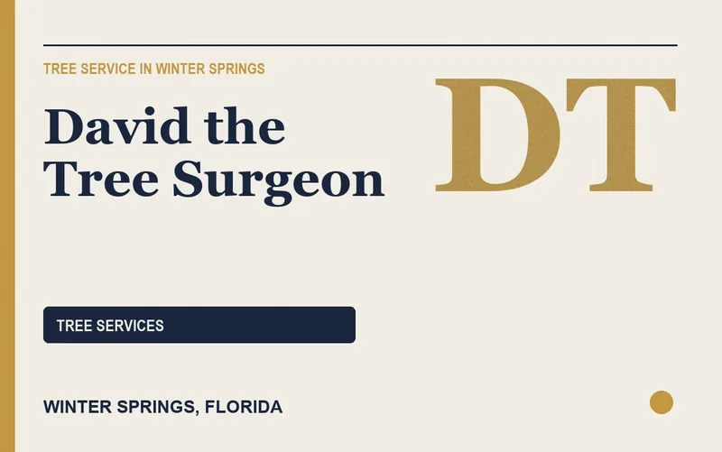 David the Tree Surgeon in Winter Springs, Florida