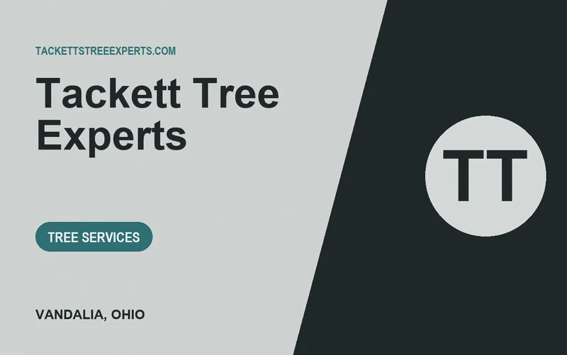 Tackett Tree Experts in Vandalia, Ohio