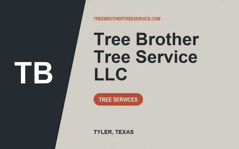Tree Brother Tree Service LLC in Tyler, Texas