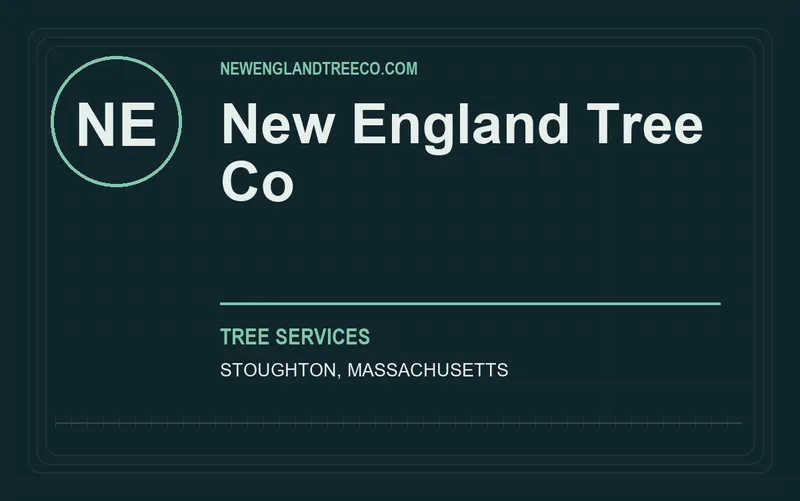 New England Tree Co in Stoughton, Massachusetts