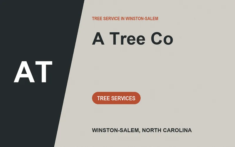 A Tree Co in Winston-Salem, North Carolina