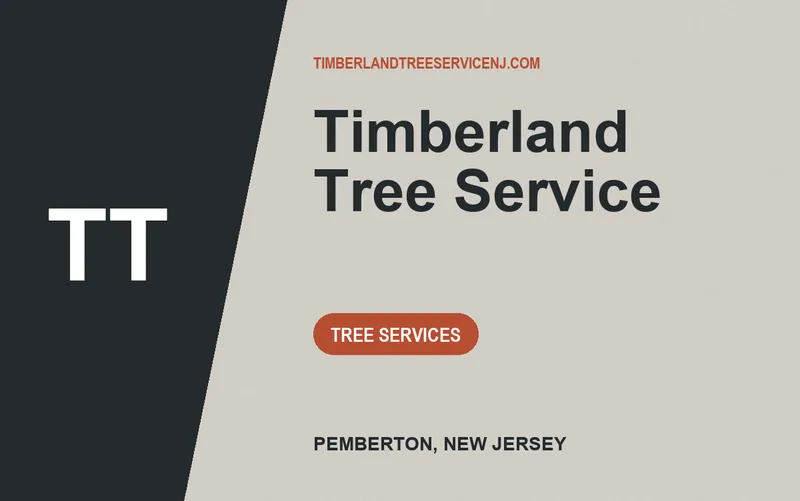 Timberland Tree Service in Pemberton, New Jersey