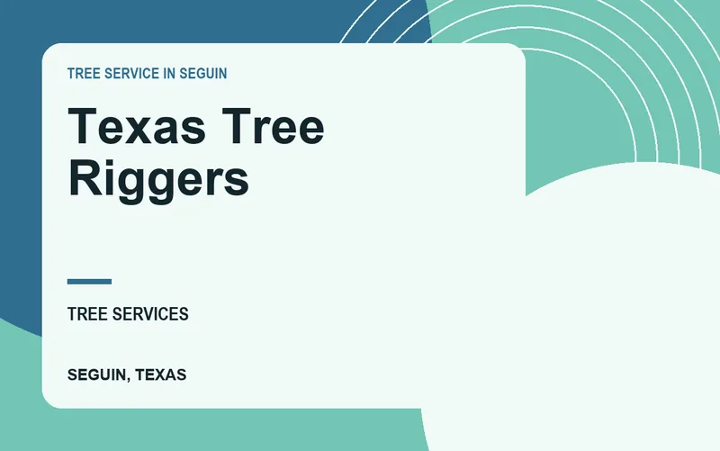 Texas Tree Riggers in Seguin, Texas