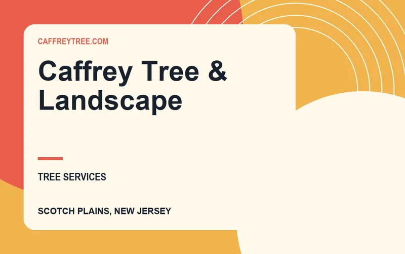 Caffrey Tree & Landscape in Scotch Plains, New Jersey