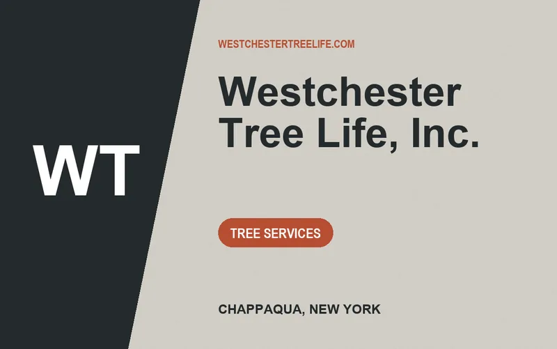 Westchester Tree Life, Inc. in Chappaqua, New York