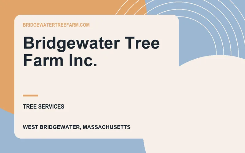 Bridgewater Tree Farm Inc. in West Bridgewater, Massachusetts