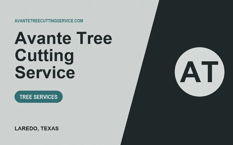 Avante Tree Cutting Service in Laredo, Texas