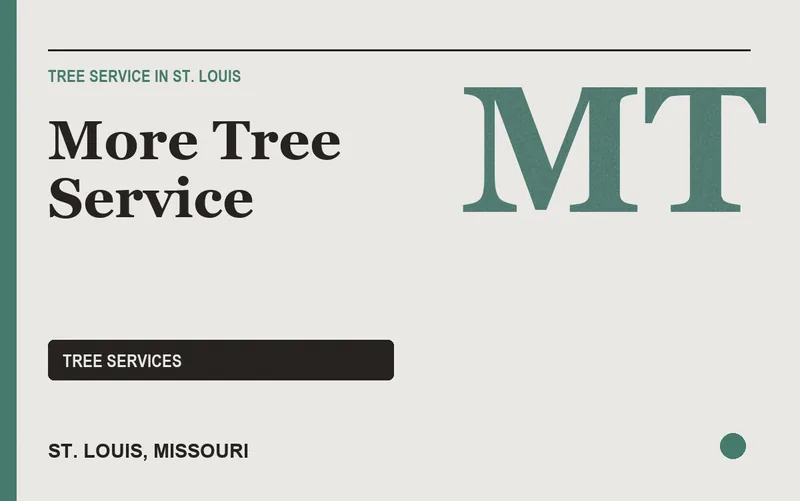 More Tree Service in St. Louis, Missouri