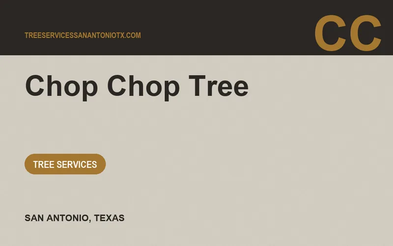Chop Chop Tree in San Antonio, Texas