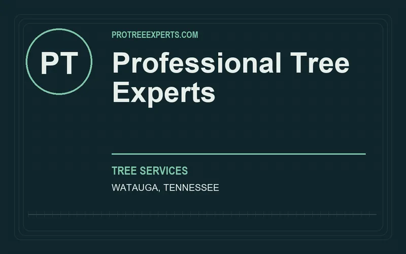 Professional Tree Experts in Watauga, Tennessee