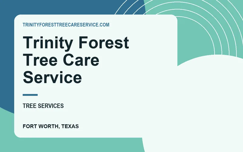 Trinity Forest Tree Care Service in Fort Worth, Texas