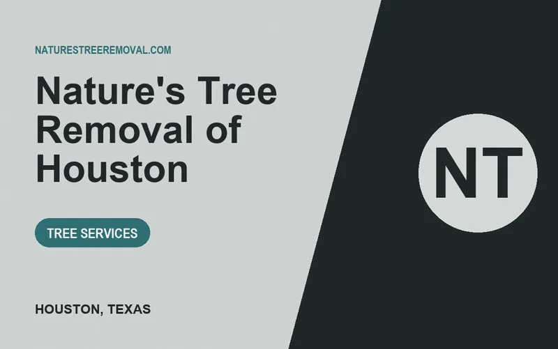 Nature's Tree Removal of Houston in Houston, Texas