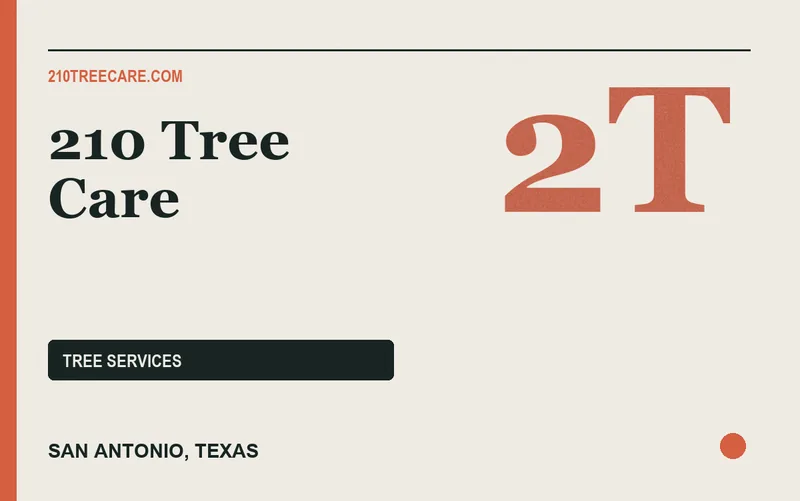 210 Tree Care in San Antonio, Texas