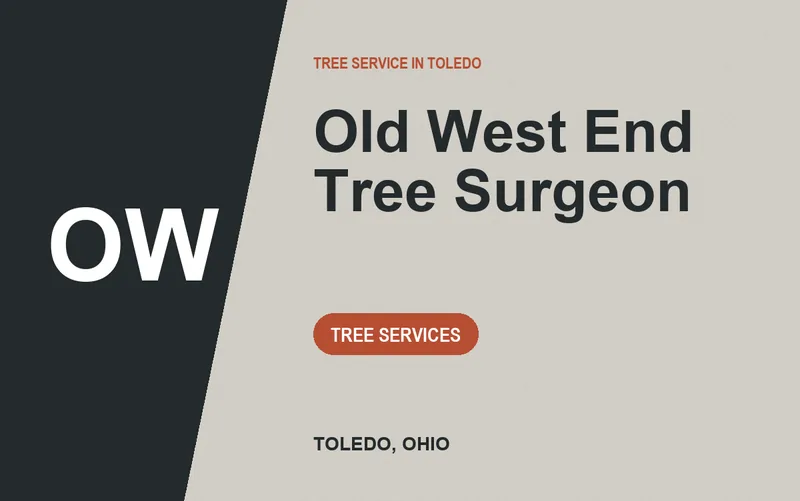 Old West End Tree Surgeon in Toledo, Ohio