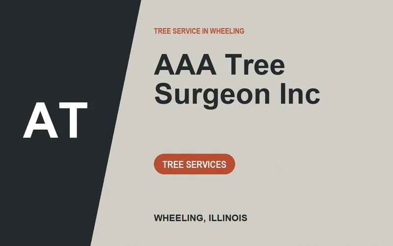 AAA Tree Surgeon Inc in Wheeling, Illinois