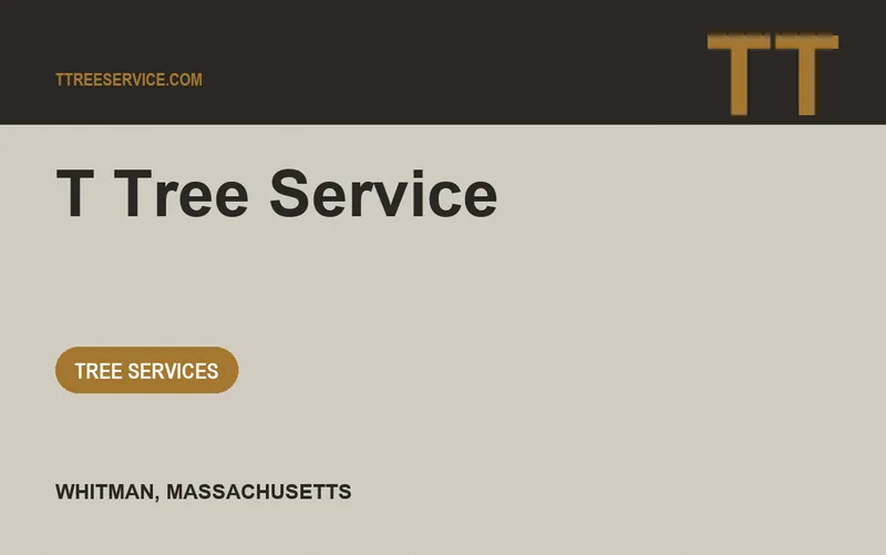T Tree Service in Whitman, Massachusetts