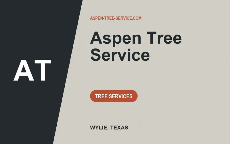 Aspen Tree Service in Wylie, Texas