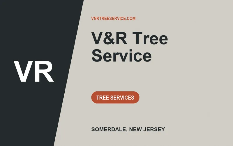 V&R Tree Service in Somerdale, New Jersey