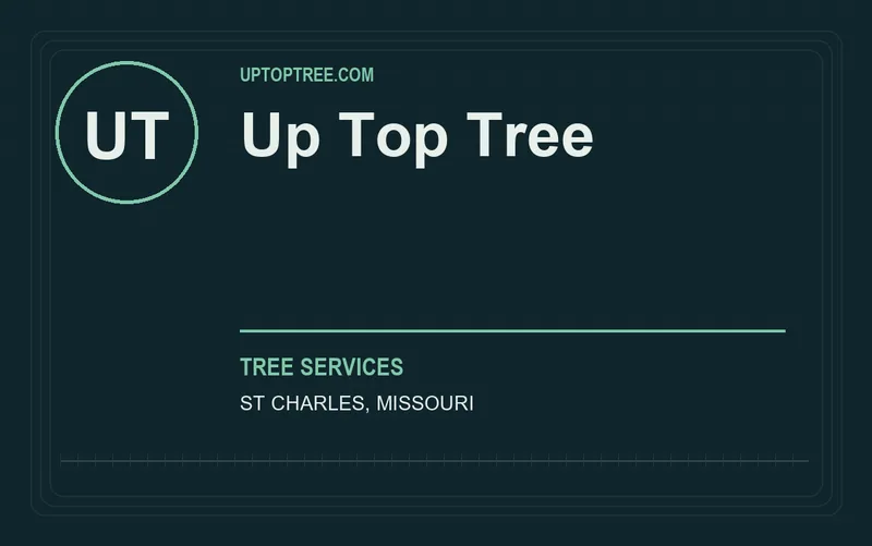 Up Top Tree in St Charles, Missouri
