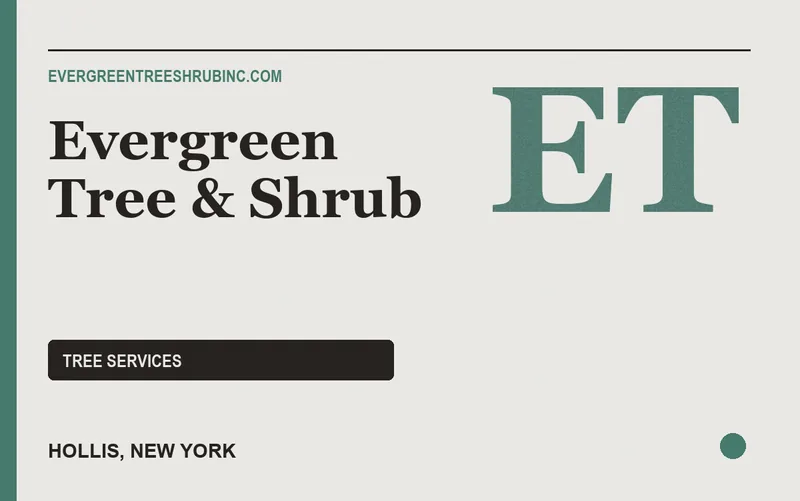 Evergreen Tree & Shrub in Hollis, New York