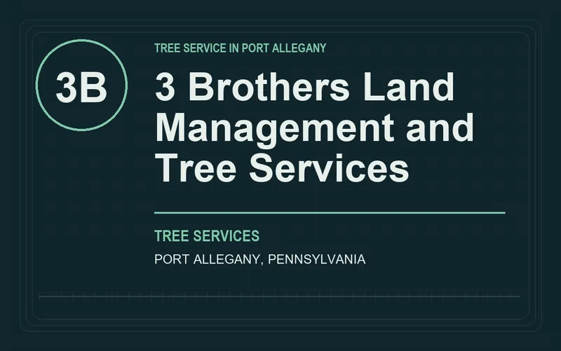 3 Brothers Land Management and Tree Services in Port Allegany, Pennsylvania