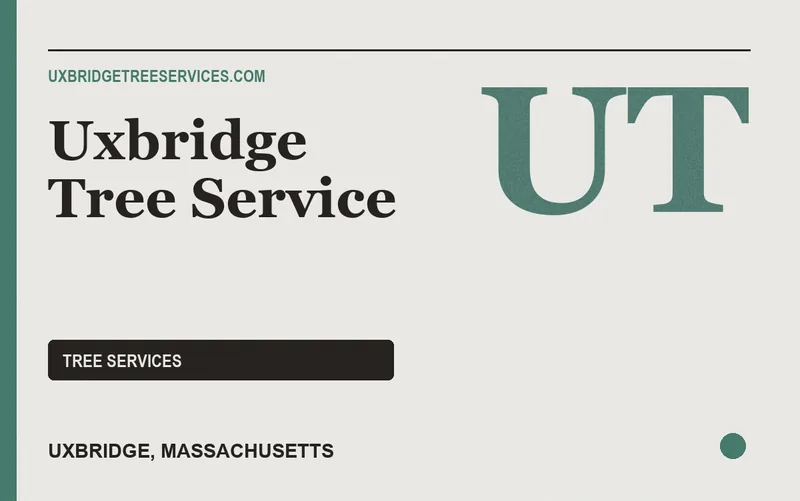 Uxbridge Tree Service in Uxbridge, Massachusetts