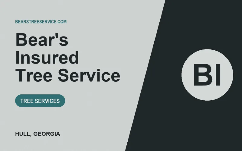 Bear's Insured Tree Service in Hull, Georgia