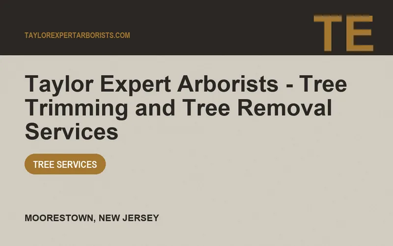 Taylor Expert Arborists - Tree Trimming and Tree Removal Services in Moorestown, New Jersey