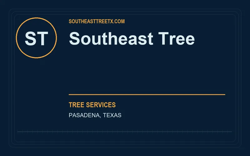 Southeast Tree in Pasadena, Texas