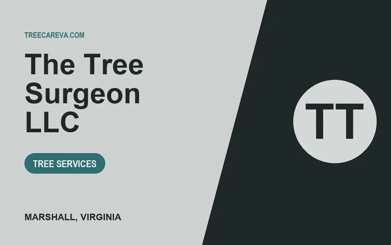 The Tree Surgeon LLC in Marshall, Virginia