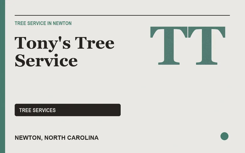 Tony's Tree Service in Newton, North Carolina