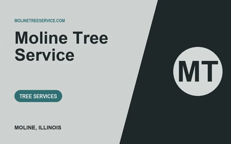 Moline Tree Service in Moline, Illinois