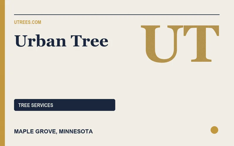 Urban Tree in Maple Grove, Minnesota