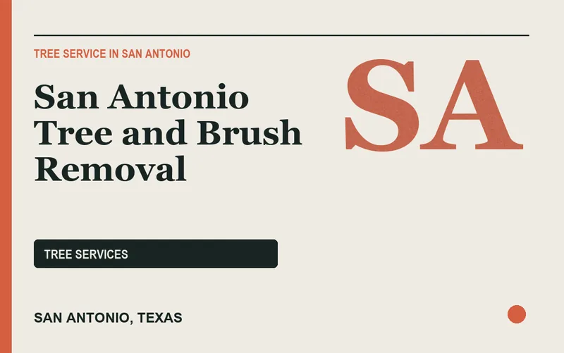 San Antonio Tree and Brush Removal in San Antonio, Texas