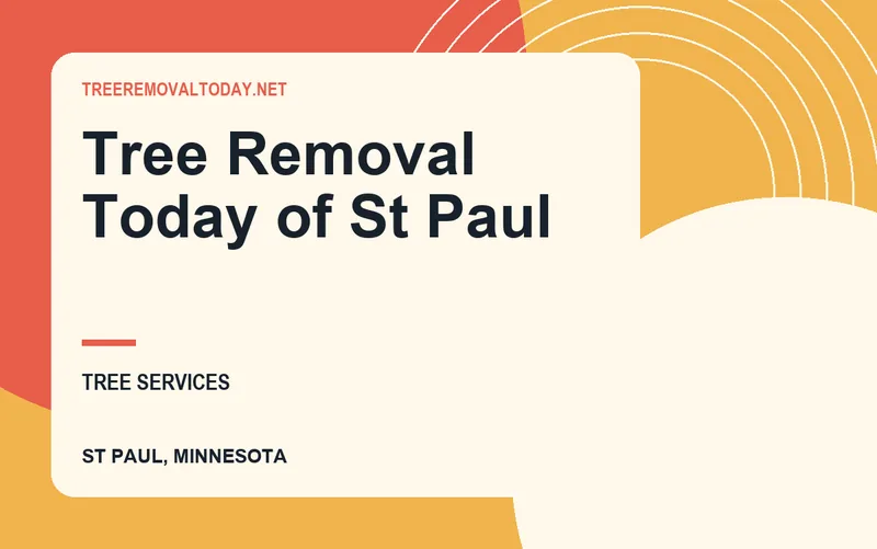 Tree Removal Today of St Paul in St Paul, Minnesota