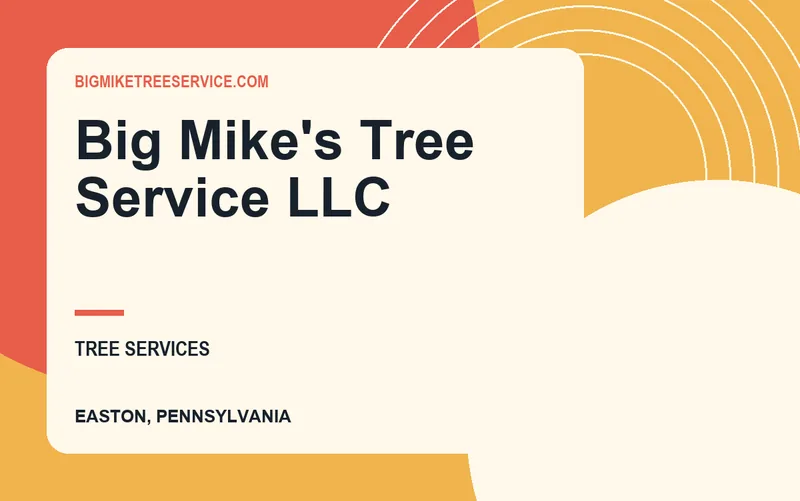 Big Mike's Tree Service LLC in Easton, Pennsylvania