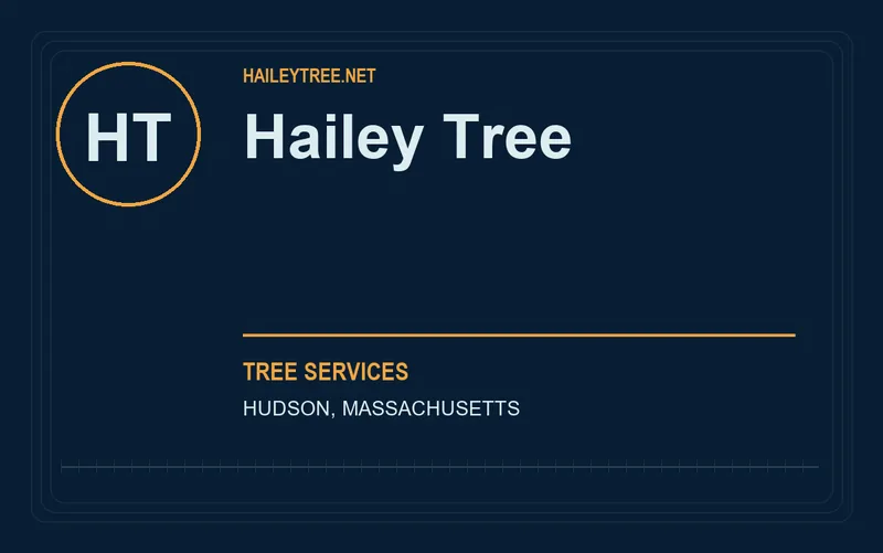 Hailey Tree in Hudson, Massachusetts