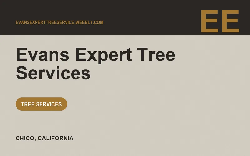 Evans Expert Tree Services in Chico, California