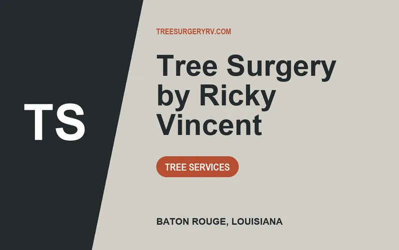 Tree Surgery by Ricky Vincent in Baton Rouge, Louisiana