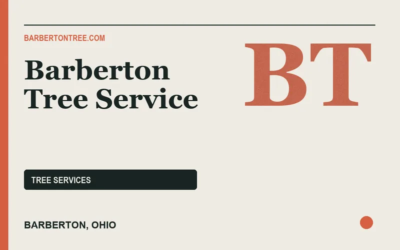 Barberton Tree Service in Barberton, Ohio