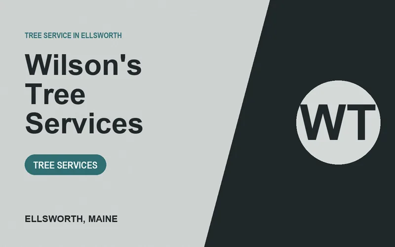 Wilson's Tree Services in Ellsworth, Maine